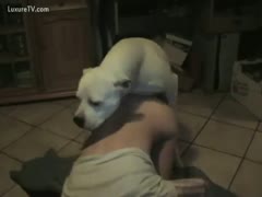 While on camera, Twink is having a doggy-style anal hammering from his enthusiastic, athletic dog.
